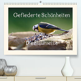 Kalender Gefiederte Schönheiten - Die Blaumeise (Premium, hochwertiger DIN A2 Wandkalender 2022, Kunstdruck in Hochglanz) von Rolf Pötsch