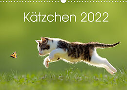 Kalender Kätzchen 2022 (Wandkalender 2022 DIN A3 quer) von LEOBA
