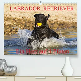 Kalender Labrador Retriever - ein Herz auf 4 Pfoten (Premium, hochwertiger DIN A2 Wandkalender 2022, Kunstdruck in Hochglanz) von N N