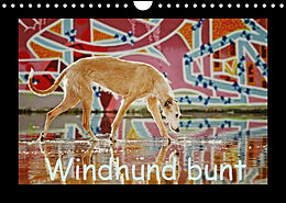 Kalender Windhund bunt (Wandkalender 2022 DIN A4 quer) von Kathrin Köntopp