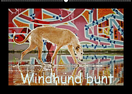Kalender Windhund bunt (Wandkalender 2022 DIN A2 quer) von Kathrin Köntopp