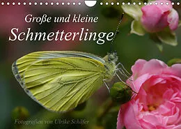 Kalender Große und kleine Schmetterlinge (Wandkalender 2022 DIN A4 quer) von Ulrike Schäfer
