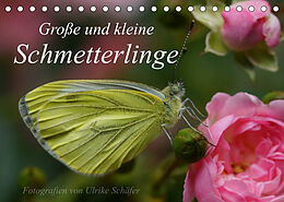 Kalender Große und kleine Schmetterlinge (Tischkalender 2022 DIN A5 quer) von Ulrike Schäfer