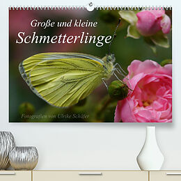 Kalender Große und kleine Schmetterlinge (Premium, hochwertiger DIN A2 Wandkalender 2022, Kunstdruck in Hochglanz) von Ulrike Schäfer