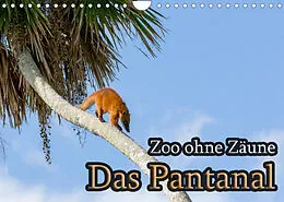Kalender Zoo ohne Zäune - Das Pantanal (Wandkalender 2022 DIN A4 quer) von Jörg Sobottka
