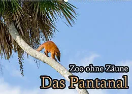 Kalender Zoo ohne Zäune - Das Pantanal (Wandkalender 2022 DIN A2 quer) von Jörg Sobottka