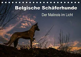 Kalender Belgische Schäferhunde - Der Malinois im Licht (Tischkalender 2022 DIN A5 quer) von Tanja Brandt