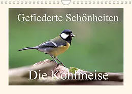 Kalender Gefiederte Schönheiten - Die Kohlmeise (Wandkalender 2022 DIN A4 quer) von Rolf Pötsch