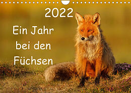 Kalender Ein Jahr bei den Füchsen (Wandkalender 2022 DIN A4 quer) von Gabi Marklein