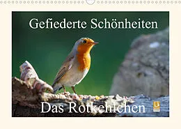 Kalender Gefiederte Schönheiten - Das Rotkehlchen (Wandkalender 2022 DIN A3 quer) von Rolf Pötsch