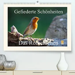Kalender Gefiederte Schönheiten - Das Rotkehlchen (Premium, hochwertiger DIN A2 Wandkalender 2022, Kunstdruck in Hochglanz) von Rolf Pötsch