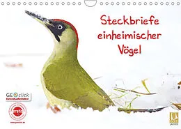 Kalender Steckbriefe einheimischer Vögel (Wandkalender 2022 DIN A4 quer) von Klaus Feske