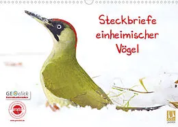 Kalender Steckbriefe einheimischer Vögel (Wandkalender 2022 DIN A3 quer) von Klaus Feske
