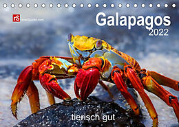 Kalender Galapagos 2022 tierisch gut (Tischkalender 2022 DIN A5 quer) von Uwe Bergwitz