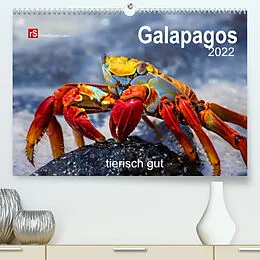 Kalender Galapagos 2022 tierisch gut (Premium, hochwertiger DIN A2 Wandkalender 2022, Kunstdruck in Hochglanz) von Uwe Bergwitz