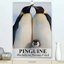 Kalender Pinguine - Wackeln im Thermo-Frack (Premium, hochwertiger DIN A2 Wandkalender 2022, Kunstdruck in Hochglanz) von Elisabeth Stanzer