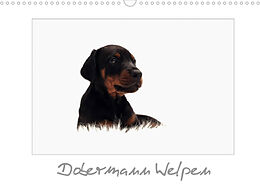 Kalender Dobermann Welpen (Wandkalender 2022 DIN A3 quer) von nh-pawpixx.com - Nicole Hahn