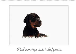 Kalender Dobermann Welpen (Wandkalender 2022 DIN A2 quer) von nh-pawpixx.com - Nicole Hahn
