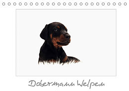 Kalender Dobermann Welpen (Tischkalender 2022 DIN A5 quer) von nh-pawpixx.com - Nicole Hahn