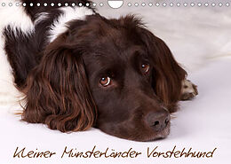 Kalender Kleiner Münsterländer Vorstehhund (Wandkalender 2022 DIN A4 quer) von Nadine Gerlach