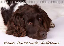 Kalender Kleiner Münsterländer Vorstehhund (Tischkalender 2022 DIN A5 quer) von Nadine Gerlach