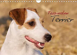 Kalender Faszination Terrier (Wandkalender 2022 DIN A4 quer) von Nadine Gerlach