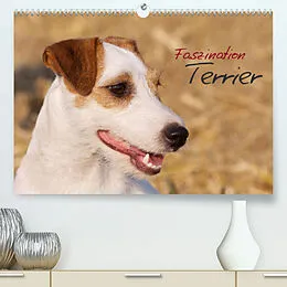 Kalender Faszination Terrier (Premium, hochwertiger DIN A2 Wandkalender 2022, Kunstdruck in Hochglanz) von Nadine Gerlach