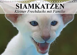 Kalender Siamkatzen - Kleiner Frechdachs mit Familie (Wandkalender 2022 DIN A4 quer) von Elisabeth Stanzer