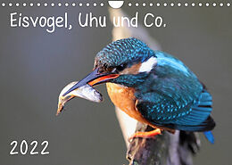 Kalender Eisvogel, Uhu und Co. (Wandkalender 2022 DIN A4 quer) von Jan Allnoch