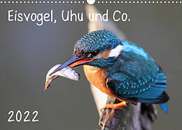 Kalender Eisvogel, Uhu und Co. (Wandkalender 2022 DIN A3 quer) von Jan Allnoch