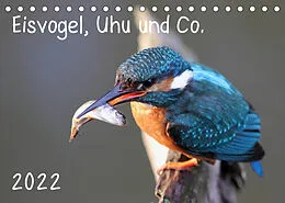 Kalender Eisvogel, Uhu und Co. (Tischkalender 2022 DIN A5 quer) von Jan Allnoch