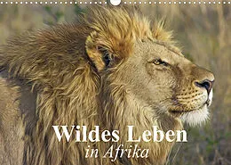 Kalender Wildes Leben in Afrika (Wandkalender 2022 DIN A3 quer) von Elisabeth Stanzer