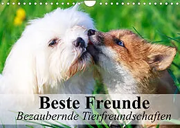 Kalender Beste Freunde - Bezaubernde Tierfreundschaften (Wandkalender 2022 DIN A4 quer) von Elisabeth Stanzer