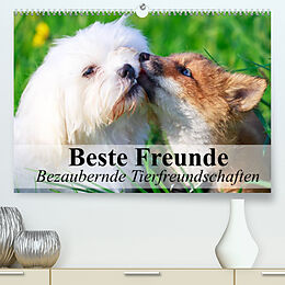 Kalender Beste Freunde - Bezaubernde Tierfreundschaften (Premium, hochwertiger DIN A2 Wandkalender 2022, Kunstdruck in Hochglanz) von Elisabeth Stanzer