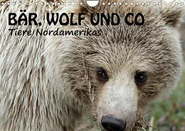 Kalender Bär, Wolf und Co - Tiere Nordamerikas (Wandkalender 2022 DIN A4 quer) von Ursula Salzmann