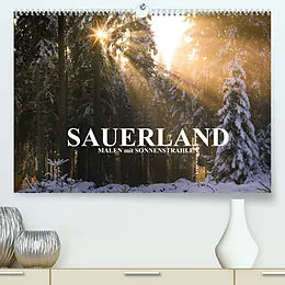 Kalender Sauerland - Malen mit Sonnenstrahlen (Premium, hochwertiger DIN A2 Wandkalender 2022, Kunstdruck in Hochglanz) von Heidi Bücker