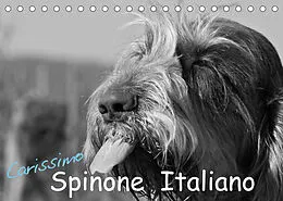 Kalender Carissimo Spinone Italiano (Tischkalender 2022 DIN A5 quer) von Silvia Drafz