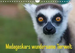 Kalender Madagaskars wundersame Tierwelt (Wandkalender 2022 DIN A4 quer) von Antje Hopfmann