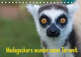 Kalender Madagaskars wundersame Tierwelt (Tischkalender 2022 DIN A5 quer) von Antje Hopfmann