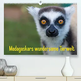 Kalender Madagaskars wundersame Tierwelt (Premium, hochwertiger DIN A2 Wandkalender 2022, Kunstdruck in Hochglanz) von Antje Hopfmann