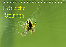 Kalender Heimische Spinnen (Tischkalender 2022 DIN A5 quer) von Otto Schäfer