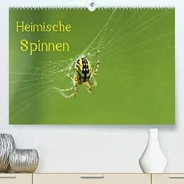 Kalender Heimische Spinnen (Premium, hochwertiger DIN A2 Wandkalender 2022, Kunstdruck in Hochglanz) von Otto Schäfer