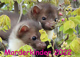 Kalender Marderkinder (Wandkalender 2022 DIN A3 quer) von Nixe
