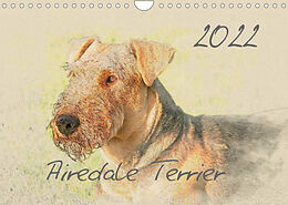 Kalender Airedale Terrier 2022 (Wandkalender 2022 DIN A4 quer) von Andrea Redecker