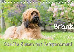 Kalender Briards - sanfte Riesen mit Temperament (Tischkalender 2022 DIN A5 quer) von Sonja Teßen
