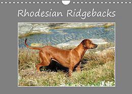 Kalender Rhodesian Ridgebacks (Wandkalender 2022 DIN A4 quer) von Anke van Wyk - www.germanpix.net