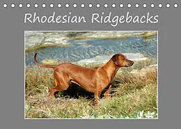 Kalender Rhodesian Ridgebacks (Tischkalender 2022 DIN A5 quer) von Anke van Wyk - www.germanpix.net