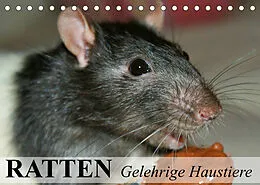 Kalender Ratten - Gelehrige Haustiere (Tischkalender 2022 DIN A5 quer) von Elisabeth Stanzer