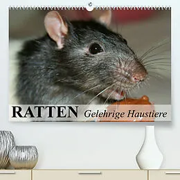 Kalender Ratten - Gelehrige Haustiere (Premium, hochwertiger DIN A2 Wandkalender 2022, Kunstdruck in Hochglanz) von Elisabeth Stanzer