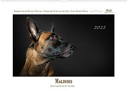 Kalender Malinois - Triebstarke Hunde mit viel Herz (Wandkalender 2022 DIN A2 quer) von Martina Wrede